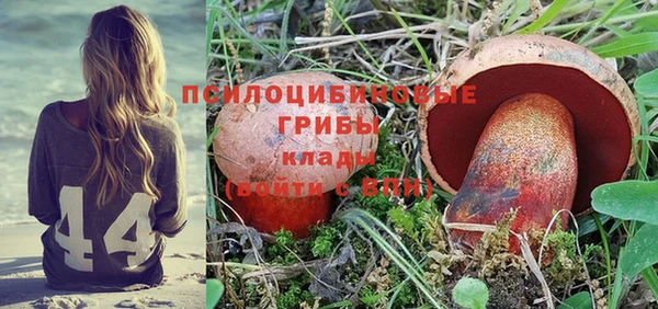 Альфа ПВП Алексин